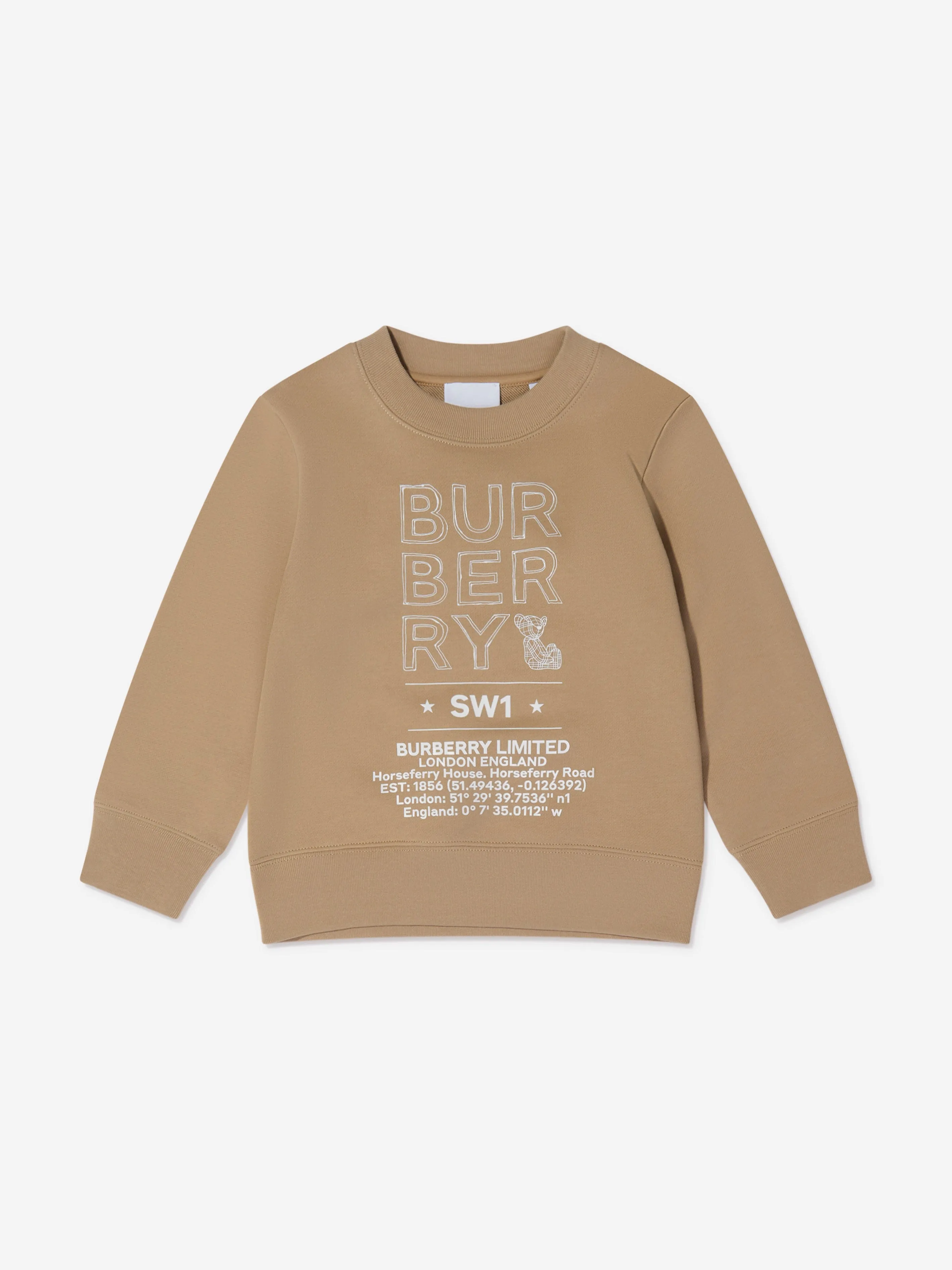 Burberry Boys Joel Logo Print Sweatshirt