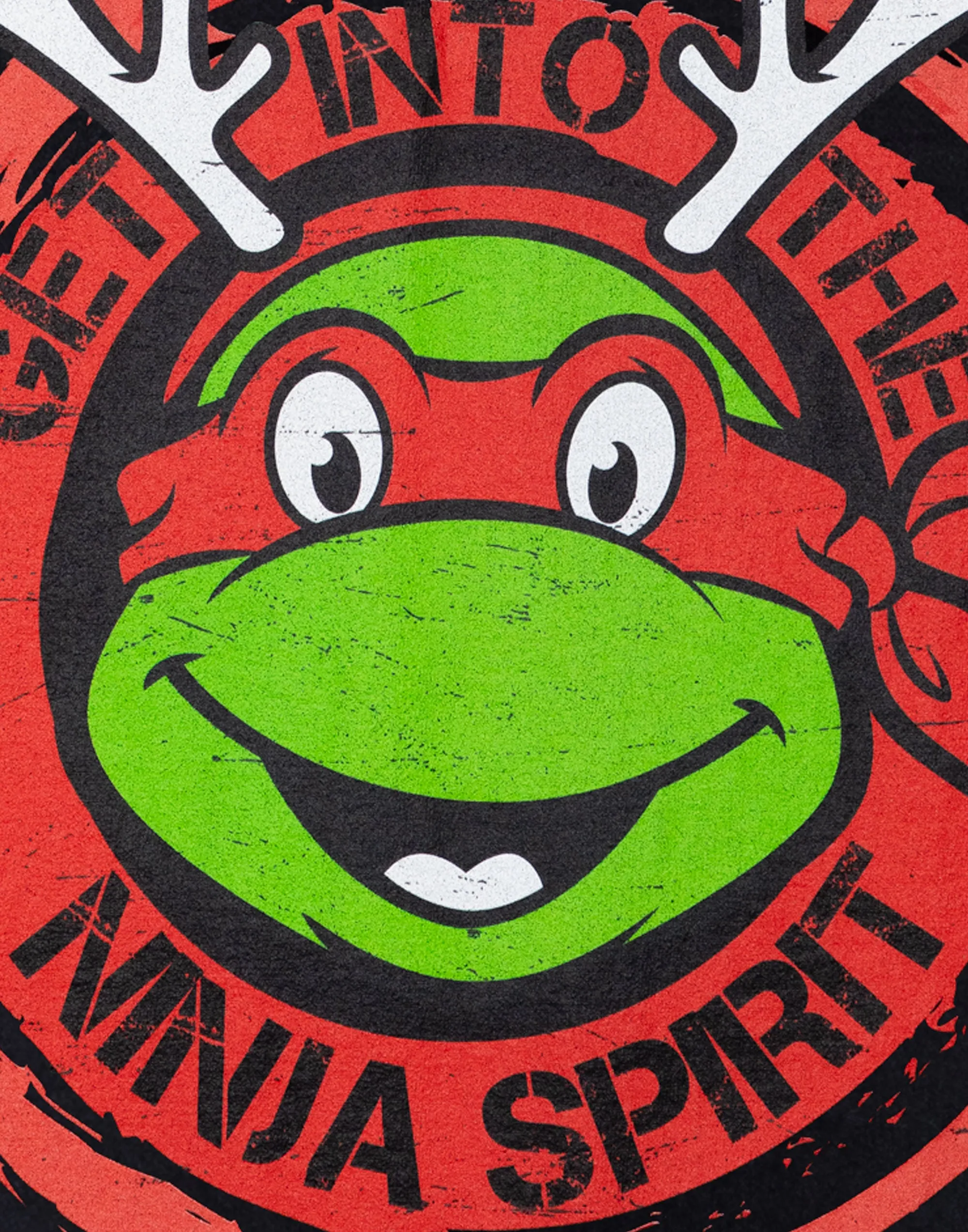 Teenage Mutant Ninja Turtles Raphael Ninja Spirit Boys Black Christmas T-Shirt